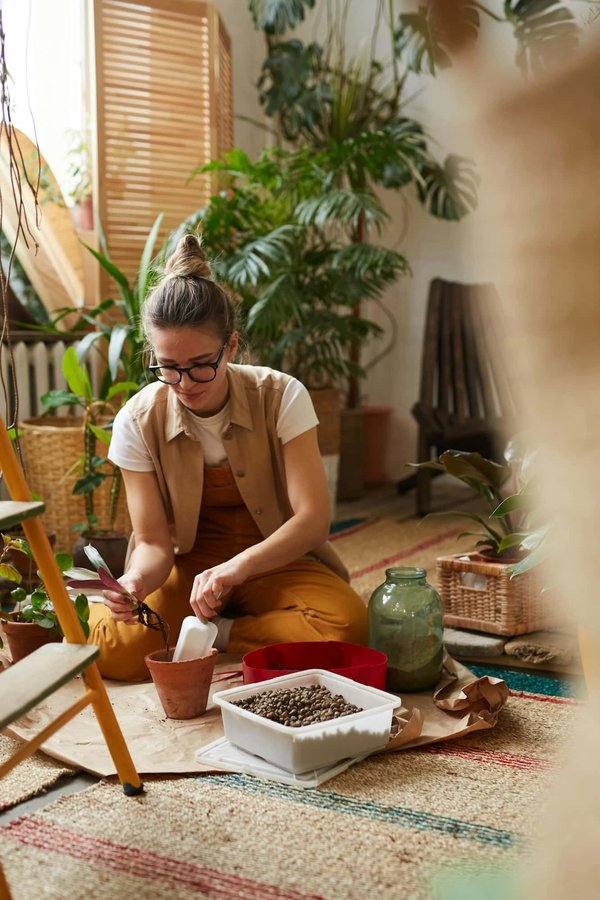 Quel type de plantes choisir pour un jardin vertical dans une cuisine lumineuse ?
